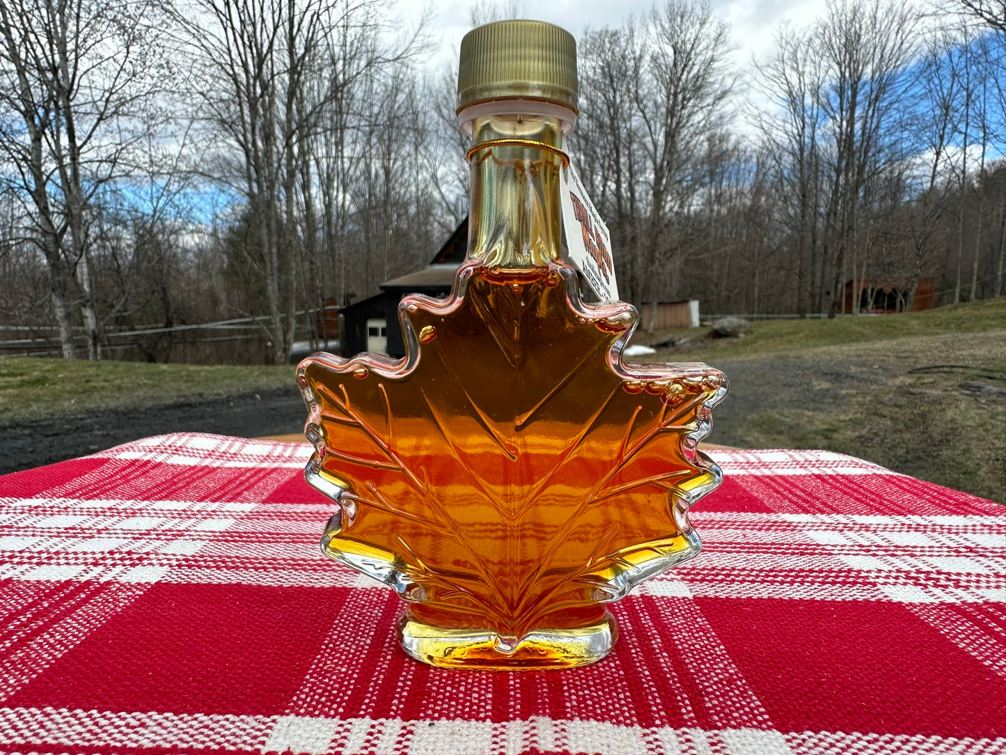 Pure Vermont Maple Syrup - In Glass